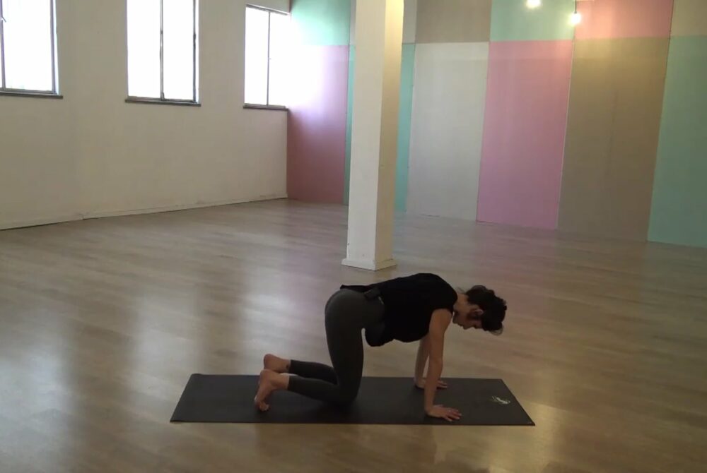 Ashtanga Yoga – Transitions