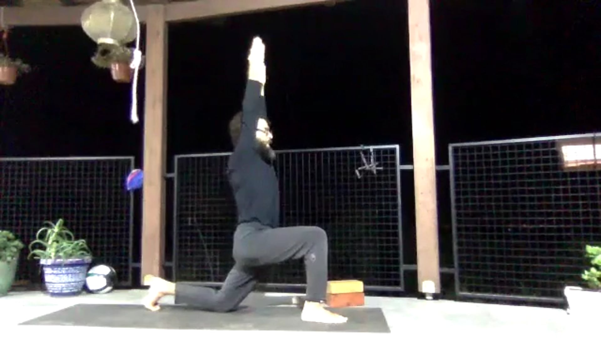 Vinyasa Yoga Adam Harel All levels